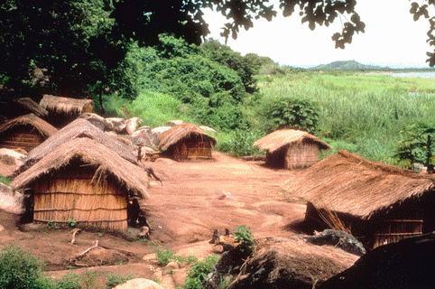 animal_afrique_africa_sauvage_wild_zebra_zbre_enfant_child_school_cole_village_desert_dsert_savane_savana_egypt_archeology_archologie_congo_gabon_development_dveloppement_sustainable_climate_lion_dromadaire_chameau_camel_ebola_Marie Guillemine Benoist_edo_nigeria_angola_south_maghreb_libya_libye_tnr_niger_senegal_bororo_peul_peulh_ethiopia_ethiopie_soudan_maroc_slavery_esclavage_traite_ngrier_colonialism_sanza_kenya_balafon_forest_rain_equator_equateur_tropical_vegetation_case_paille_cole_paysan