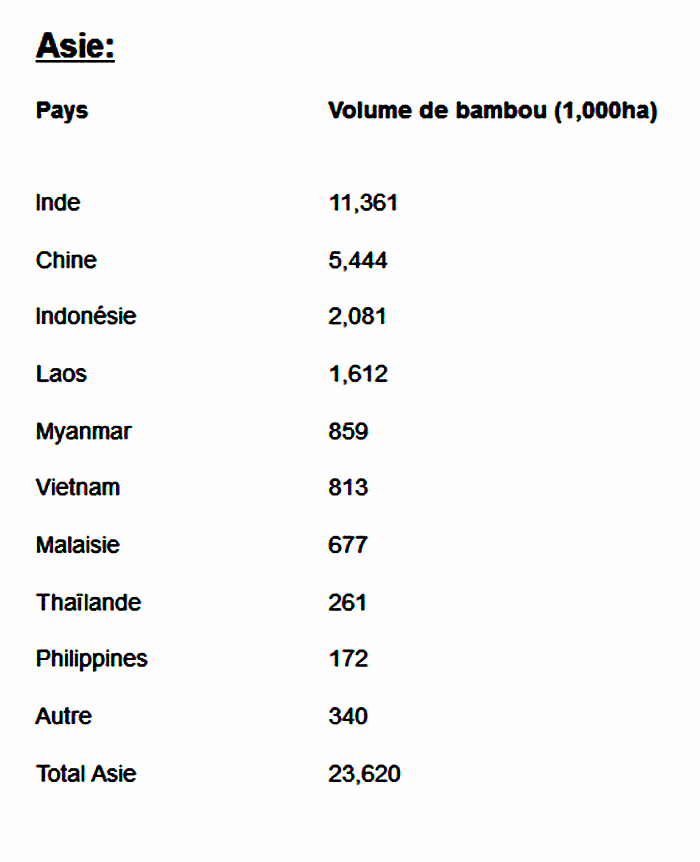 bambou_ctats_inde_afrique_latin-america