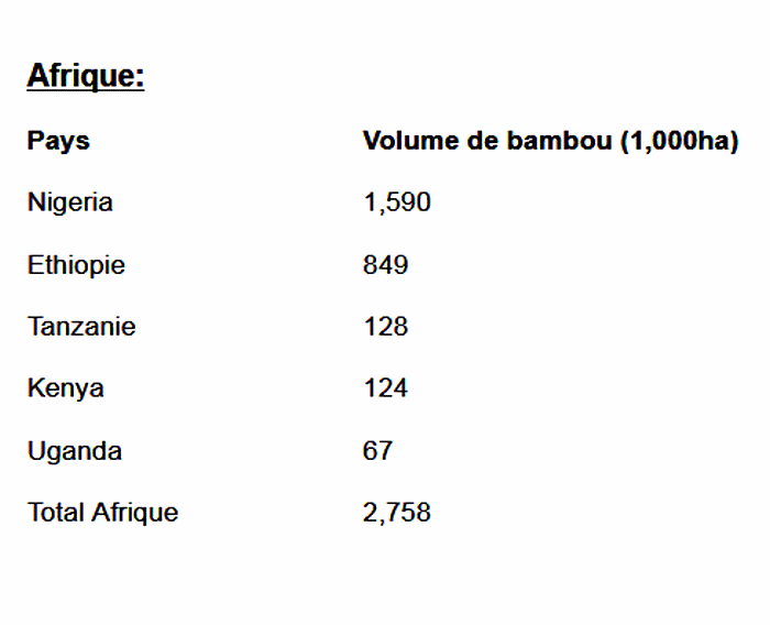 bambou_ctats_inde_afrique_latin-america