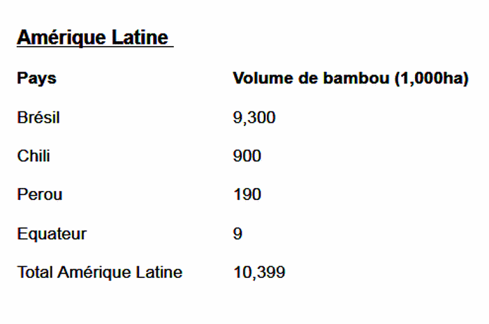 bambou_ctats_inde_afrique_latin-america