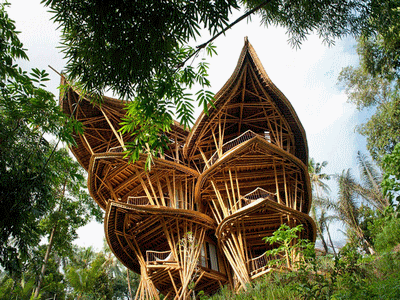 sustainable_development_school_ecole_durable_bambu_bambou_dveloppement_architecture_bois_tropical_wood