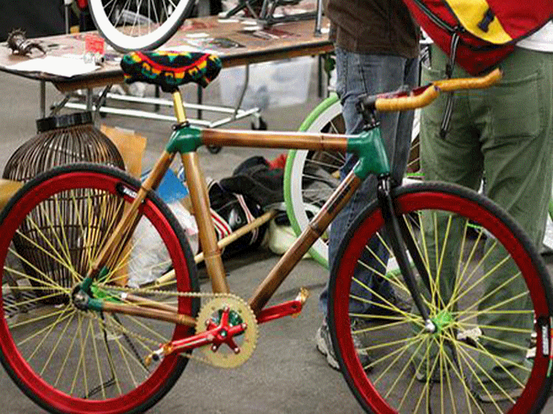 bambou_bambu_wood_sustainable_durable_bike_vlo_dveloppement_development_toy_jouet