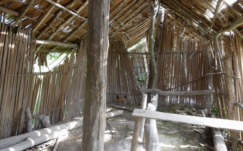 sustainable_development_school_ecole_durable_dveloppement_congo_bois_tropical_wood