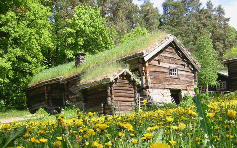 russie_bois_scandinavie_scandinavia_tsar_prokudin_izba_wood_russia