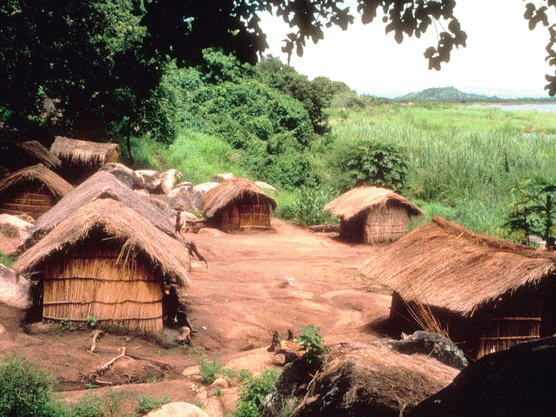 sustainable_development_school_ecole_durable_bambu_bambou_dveloppement_congo_bois_tropical_wood