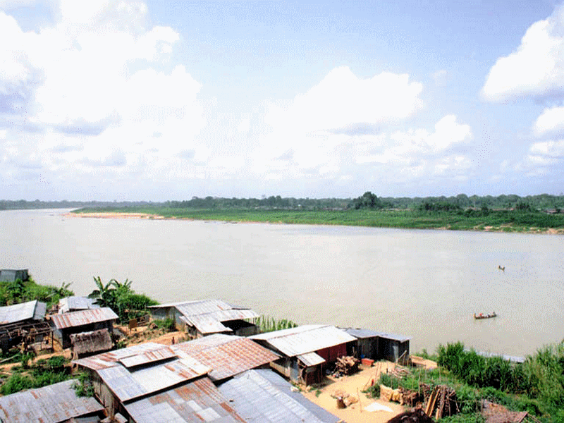 sustainable_development_school_ecole_durable_bambu_bambou_dveloppement_congo_bois_tropical_wood