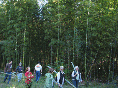 sustainable_development_school_ecole_durable_bambu_bambou_dveloppement_congo_bois_tropical_wood