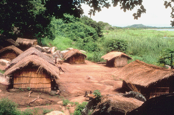 afrique_habitat_case_poverty_pauvret_campagne_brousse_countryside